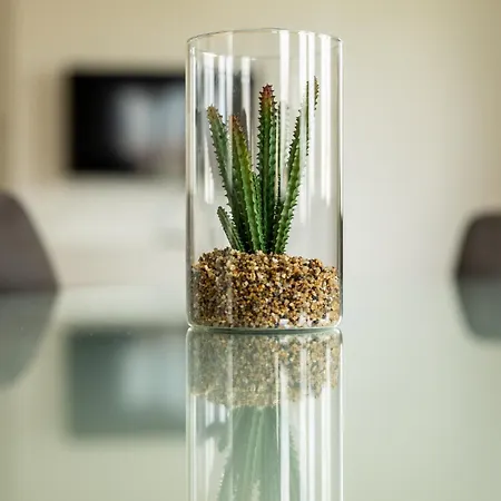 Le Cocon Blanc - Equipe Apartment *